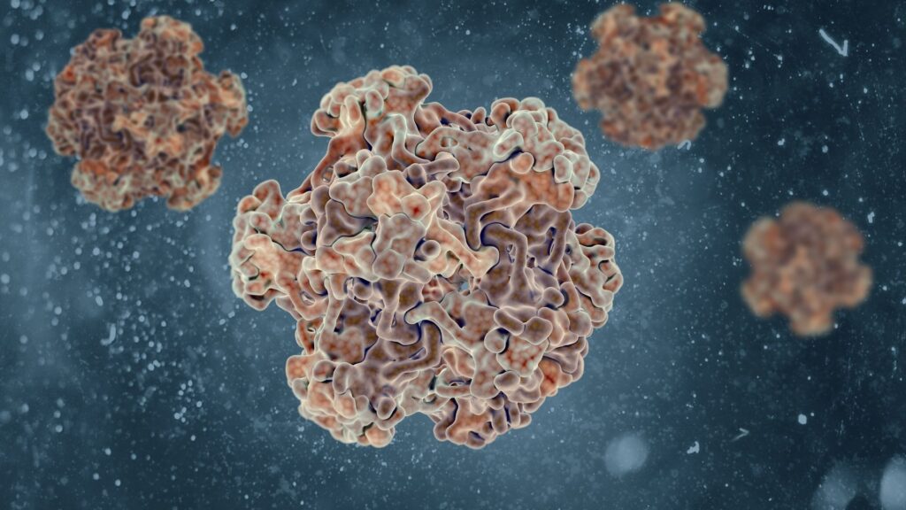 Human Papillomavirus