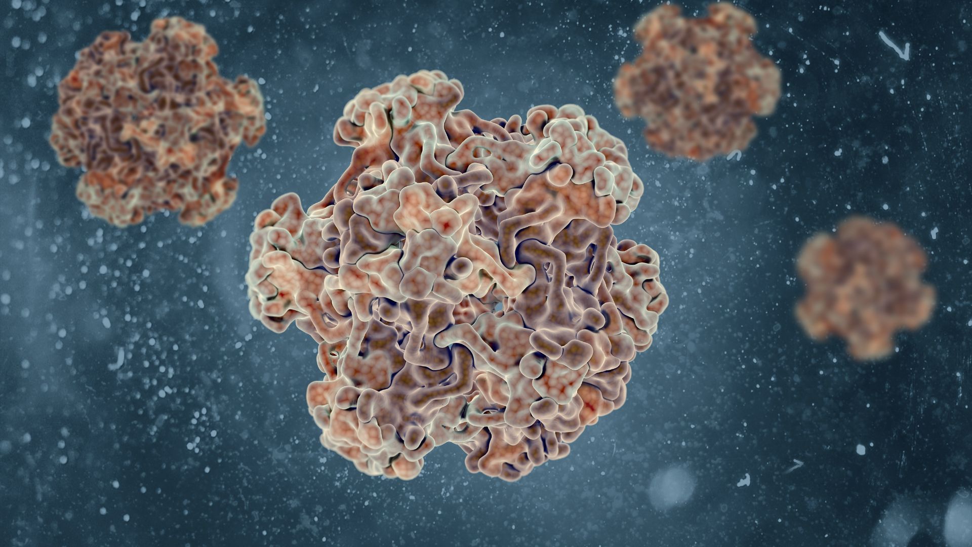 Human Papillomavirus