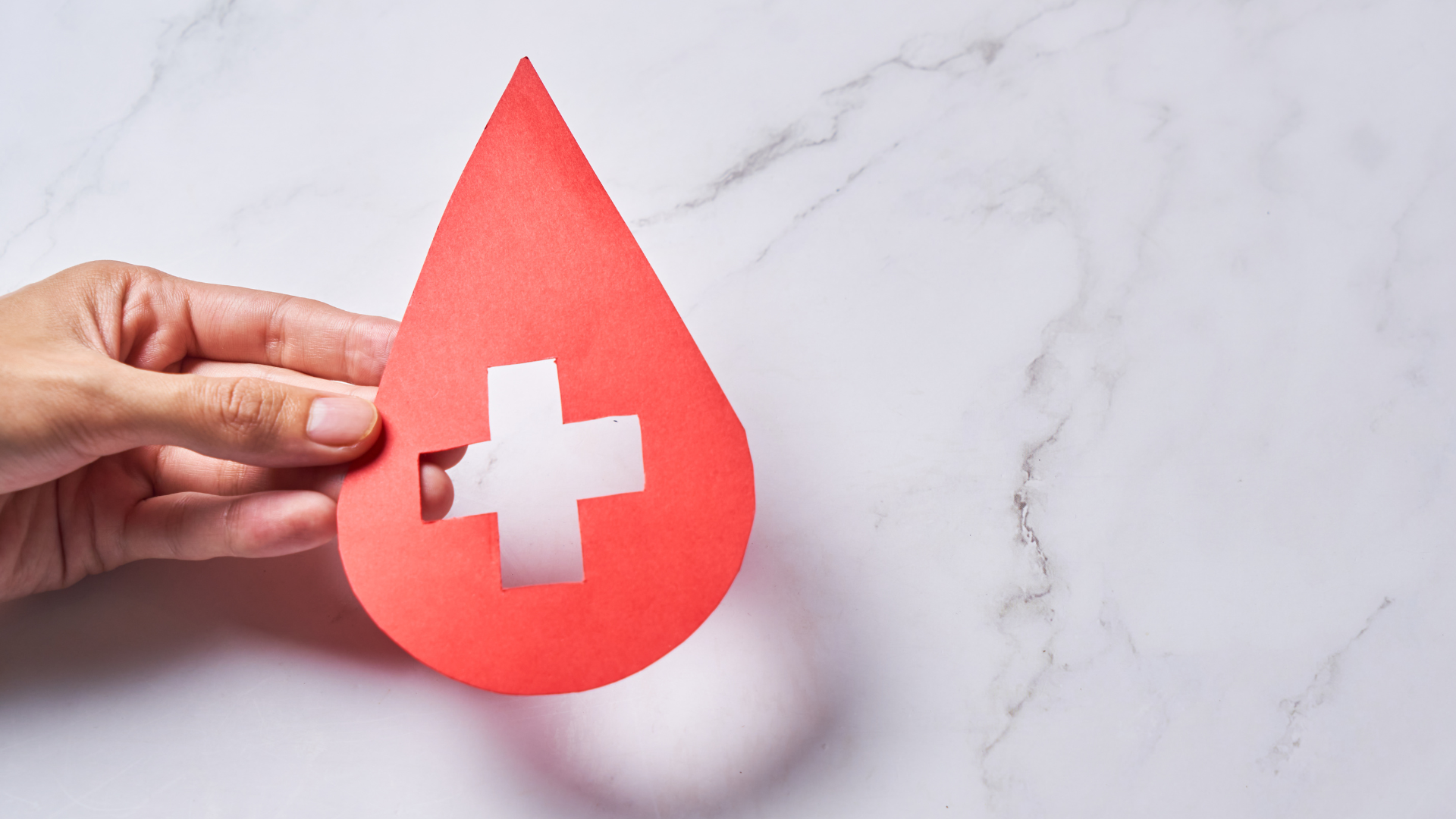 Talasemia vs Anemia: Kenali Bedanya dan Cara Mengatasinya